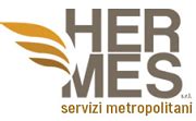 hermes servizi autista lavoro